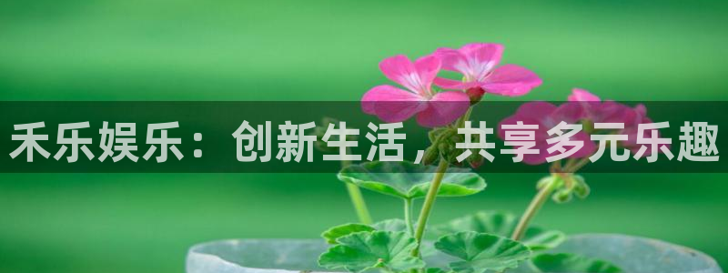 优贝娱乐：禾乐娱乐：创新生活，共享多元乐趣