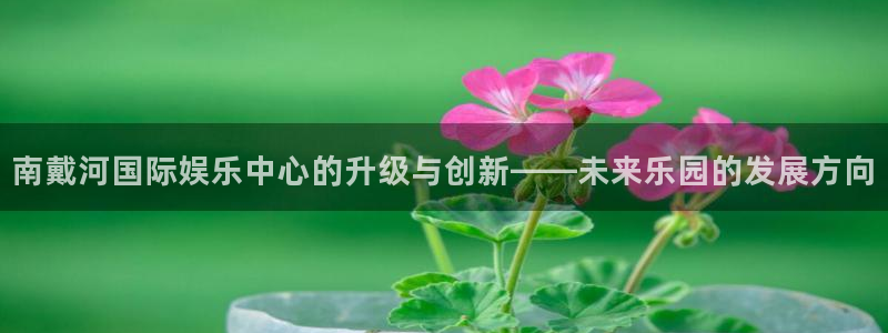 优贝娱乐：南戴河国际娱乐中心的升级与创新——未来乐园的发展方向