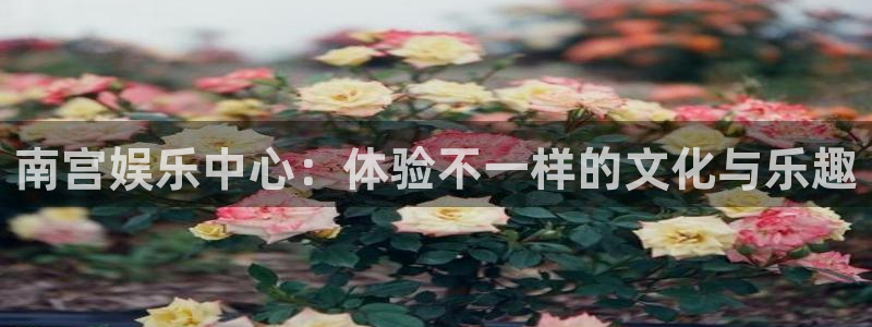 优贝娱乐：南宫娱乐中心：体验不一样的文化与乐趣
