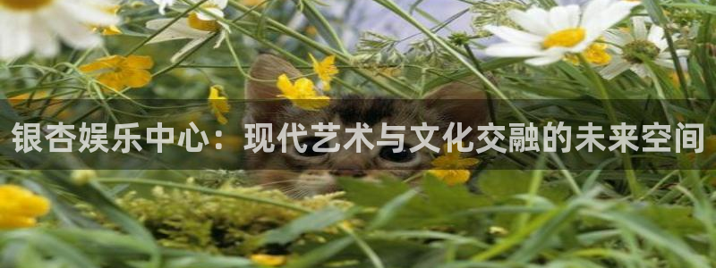 优贝娱乐：银杏娱乐中心：现代艺术与文化交融的未来空间