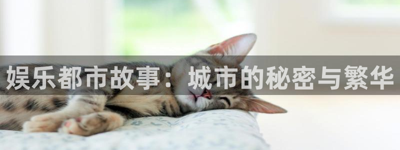 优贝娱乐：娱乐都市故事：城市的秘密与繁华