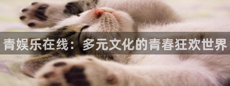 优贝娱乐：青娱乐在线：多元文化的青春狂欢世界