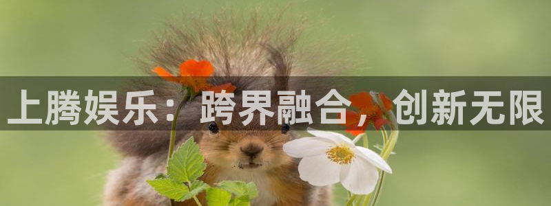 优贝娱乐：上腾娱乐：跨界融合，创新无限